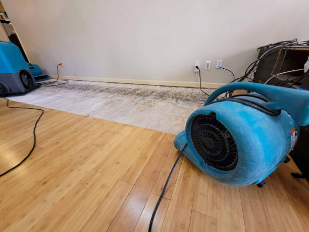 Professional Burst Pipe Water Damage technician working in Sumter, SC